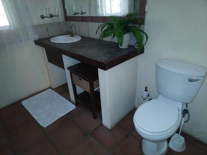 Buona Notte Bed & Breakfast Johannesburg Ngoại thất bức ảnh